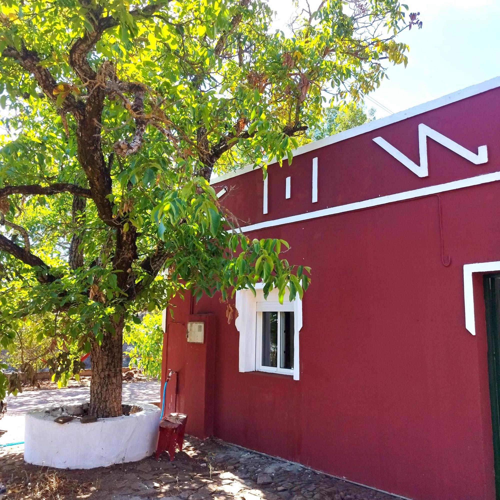 Auberge de jeunesse La Casita à Vega de San Mateo Extérieur photo